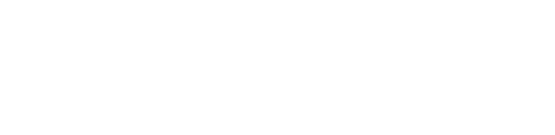 Wingmacht